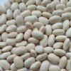 White Kidney Bean Extract